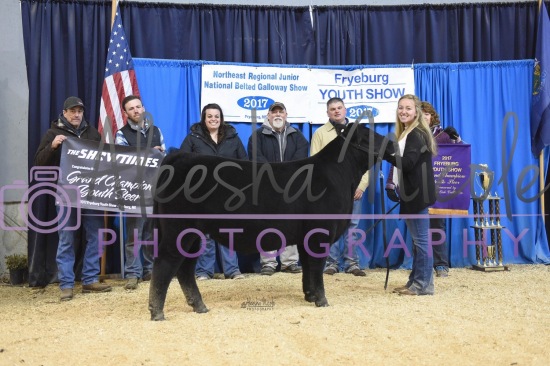 Youth Steer Backdrop