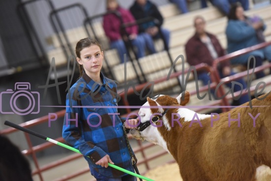 Youth Steer Ring Shots