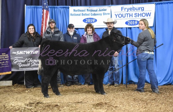 Youth Steer- Backdrops