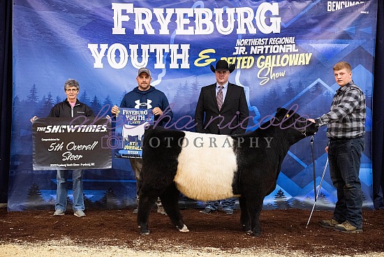 Youth Steer Backdrops