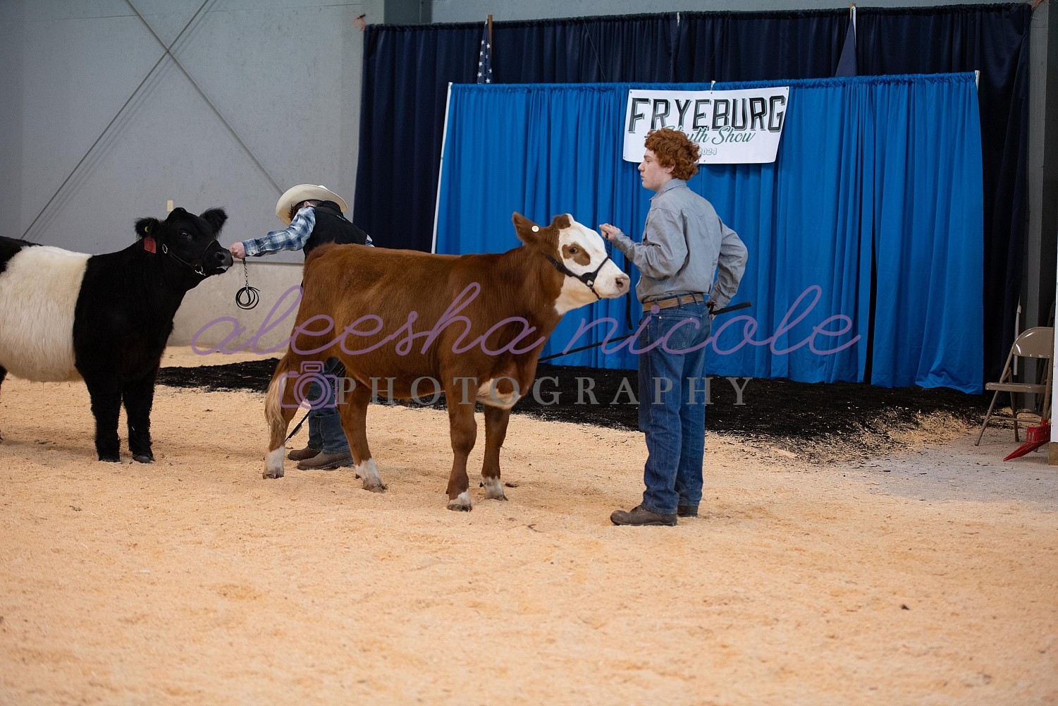 Aleesha Nicole Photography Jackpot Steer Ring Shots Fryeburg Youth