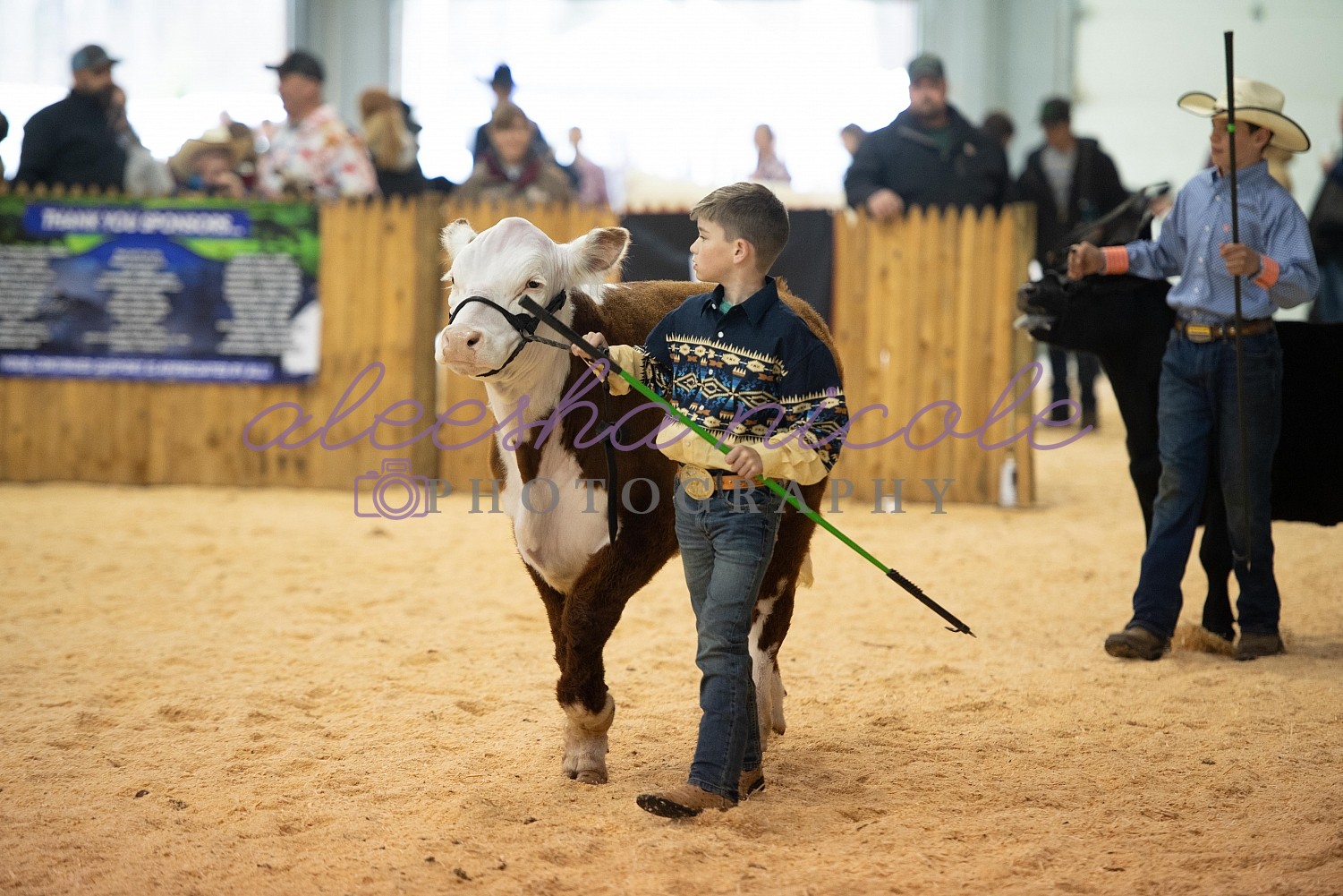 Aleesha Nicole Photography Youth Steer Ring Shots Fryeburg Youth