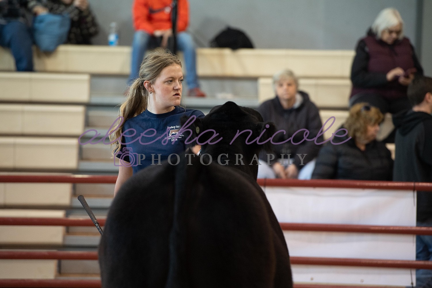 Aleesha Nicole Photography NonOwned Showmanship Fryeburg Youth