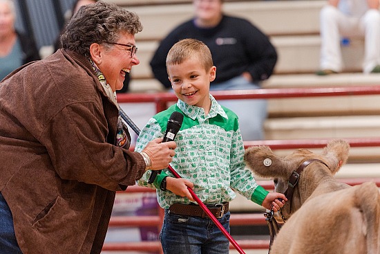 Wednesday-Hereford, Chi, Simmental-Ringshots