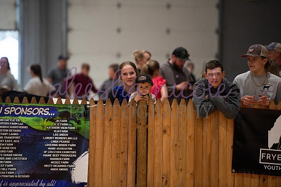 Jackpot Steer Ring Shots