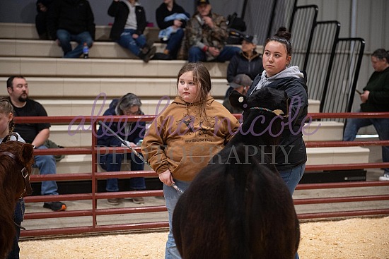 Non-Owned Showmanship