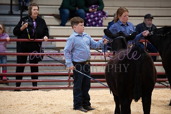 Jackpot Heifer Ring Shots