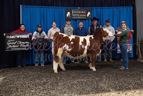 Jackpot Heifer Backdrops