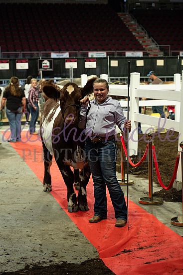 Market Steer Ringshots