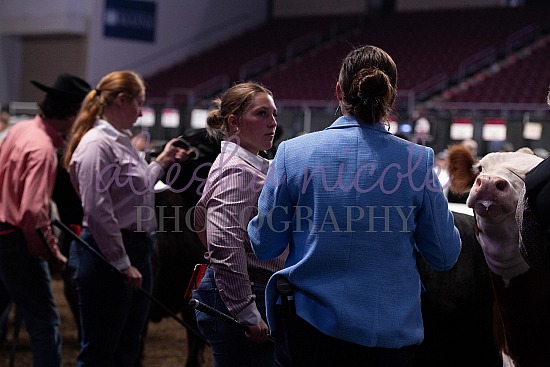 Youth Beef Show