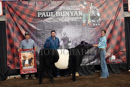 Paul Bunyan Beltie Classic Backdrops