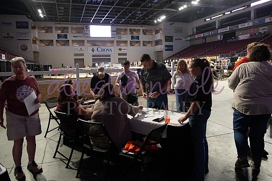 4-H Auction