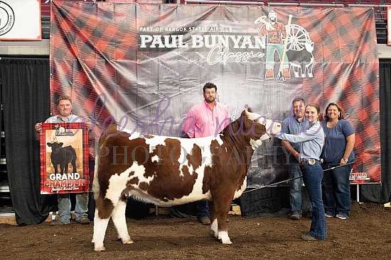 Paul Bunyan Jackpot Show Backdrops