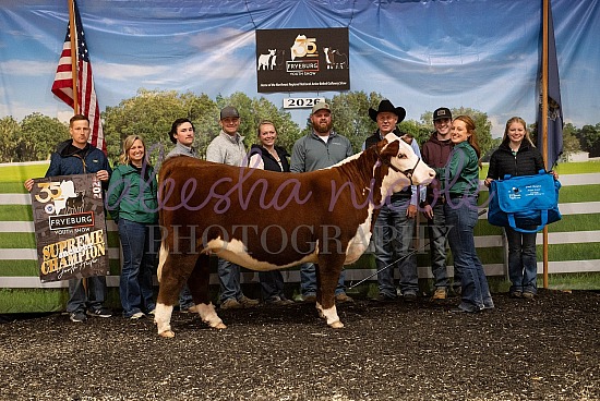 Jackpot Heifer Backdrops