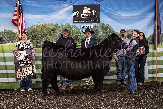 Youth Heifer Backdrops