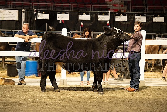 Youth Beef Ringshots